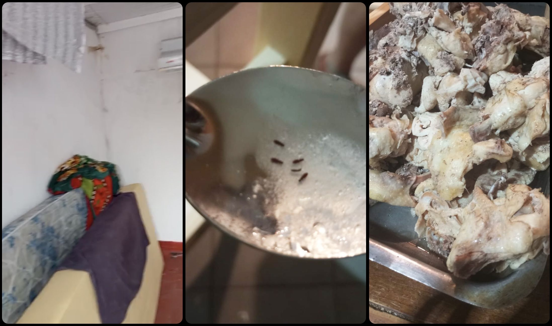 阿根廷足球梦工厂：青训体系背后的残酷现实